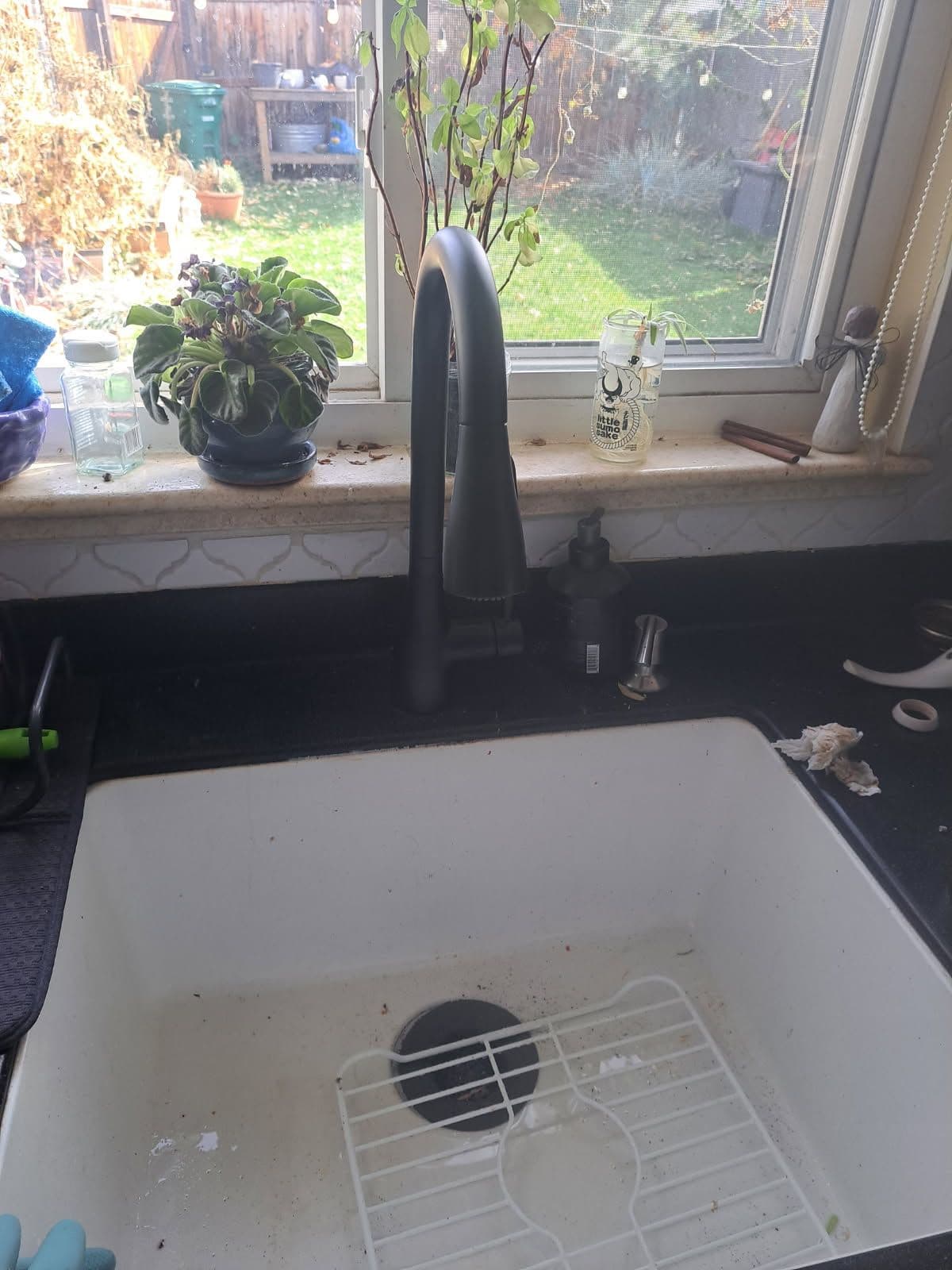 Fresh Kitchen Upgrade with Sleek Black Faucet image