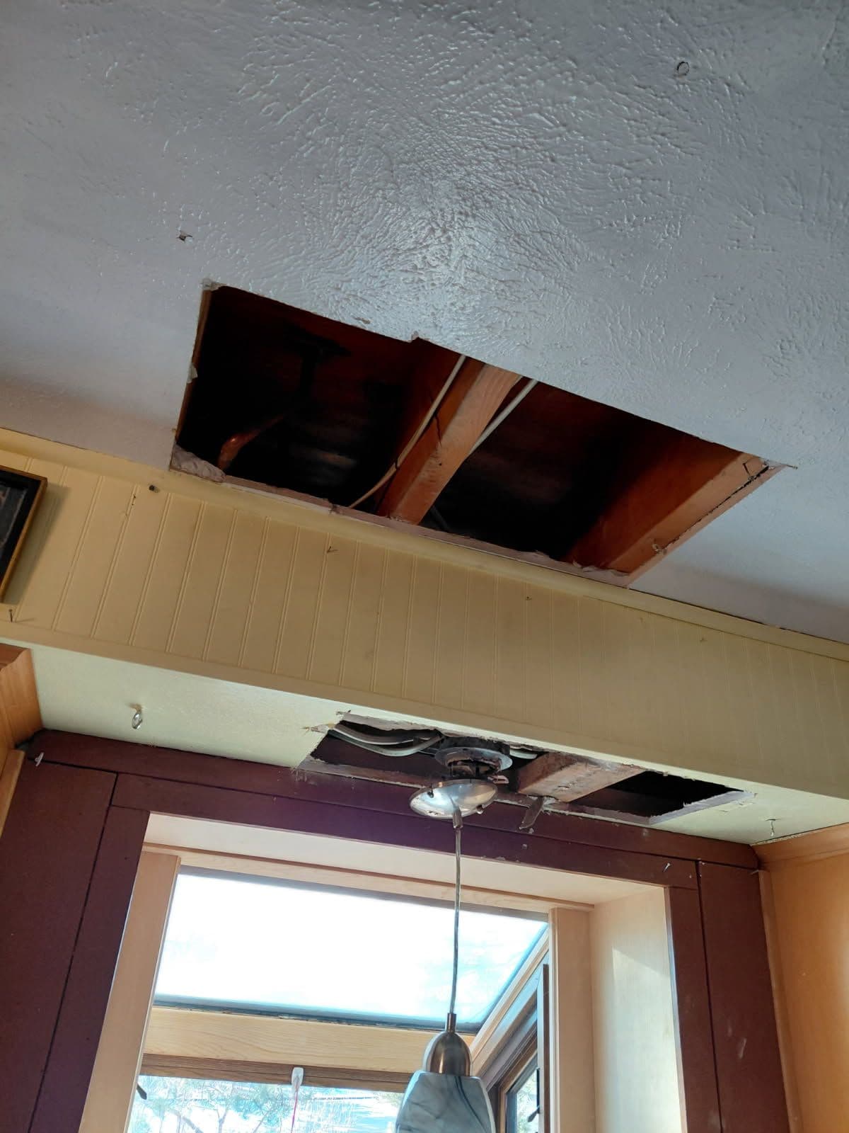 Project Ceiling Repair and Lighting Upgrade image